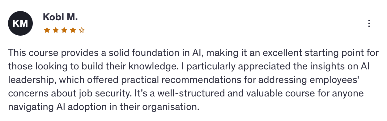Udemy AI 101 review Kobi